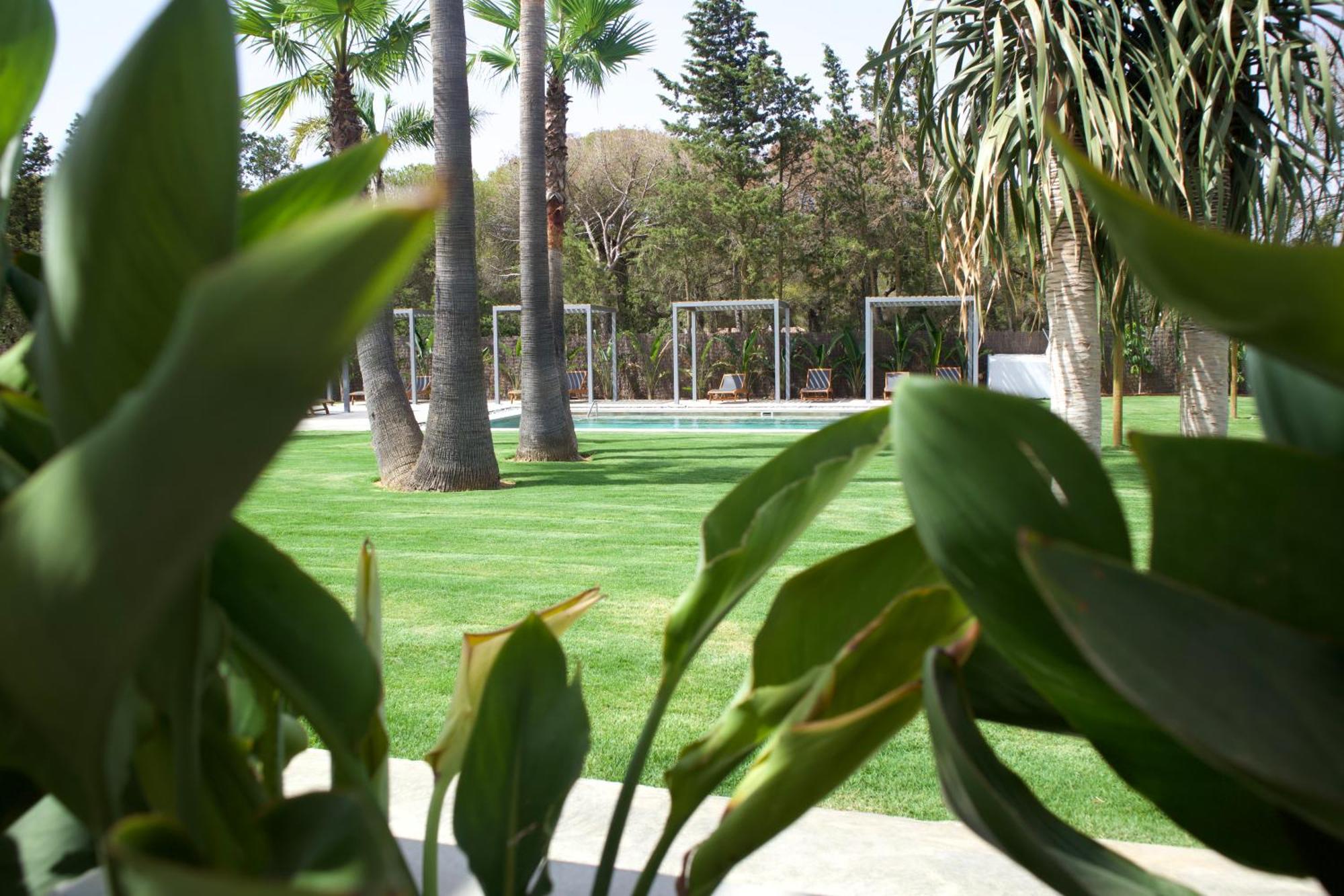 Alojamiento Rural Finca Azucena Suite Conil De La Frontera Bagian luar foto